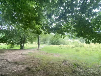 Teren intravilan vanzare Breaza de Sus Prahova arbori